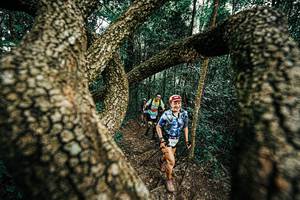 BIB: 
                            <button type="button" onclick="openModal(25393324)" class="btn btn-primary btn-sm float-right btn-popup" data-toggle="modal" data-target=".modal-high-quality">
                        <i class="fas fa-shopping-cart"></i> Add to Cart
                    </button>
                                            <button type="button" onclick="isThisMe(25393324, true)" class="btn btn-success btn-sm float-right btn-popup btn-isme hidden" data-toggle="tooltip" data-placement="bottom" title="นี่คือรูปของคุณใช่ไหม คลิกที่นี่เพื่อเอาเข้าอัลบั้ม">
                        <i class="fas fa-plus"></i> Add to album
                    </button>
                    <button type="button" onclick="isThisMe(25393324, false)" class="btn btn-warning btn-sm float-right btn-popup btn-isnotme hidden">
                        <i class="fas fa-ban"></i> Remove from album
                    </button>